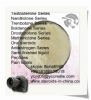 Muscle Building Steroids Trenbolone Hexahydrobenzyl Carbonate